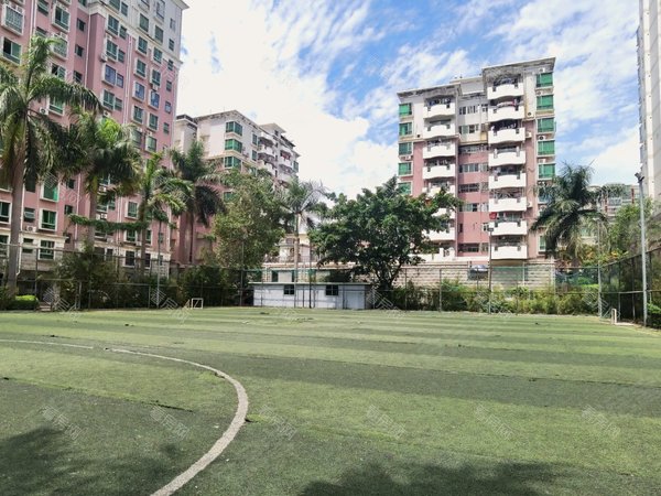 深圳龙岗龙城国际碧湖玫瑰园精装好房首租.