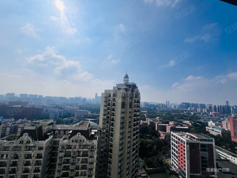 靓楼层 南北对流 望中大校园景观房 262方随时约看房,金海湾二手房,3