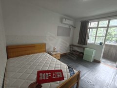 上海宝山淞南华浜新村 1室1厅1卫  42平米出租房源真实图片
