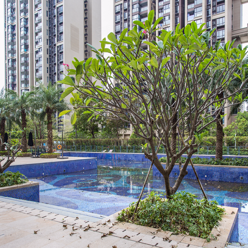 【时代云图, 时代云图小区详情,房价走势,房源,业主论坛】- 中山58