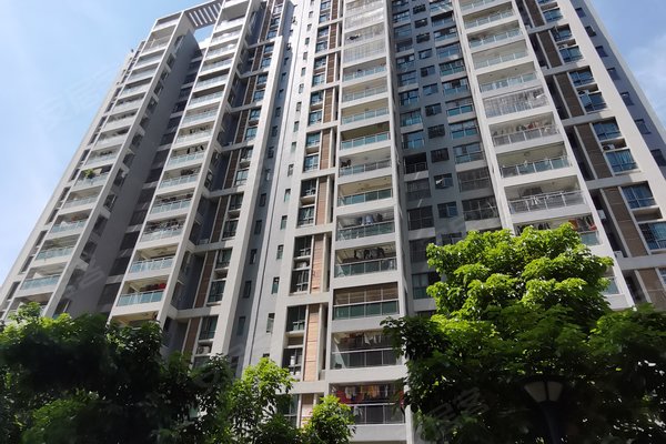 阳江小区 阳春小区 春城镇小区 金鼎花园