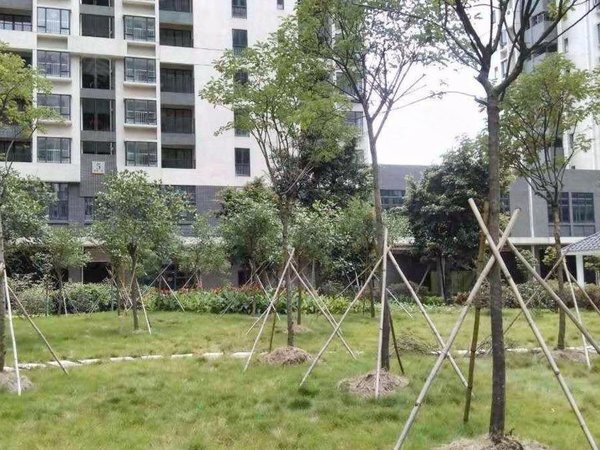 【多图】西湾和苑,西村租房,西湾和苑 中层电梯一房一厅 视野开阔