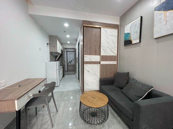 深圳宝安桃源居鹤洲村鹤洲村 1室0厅1卫 南北通透 电梯房 豪华装修