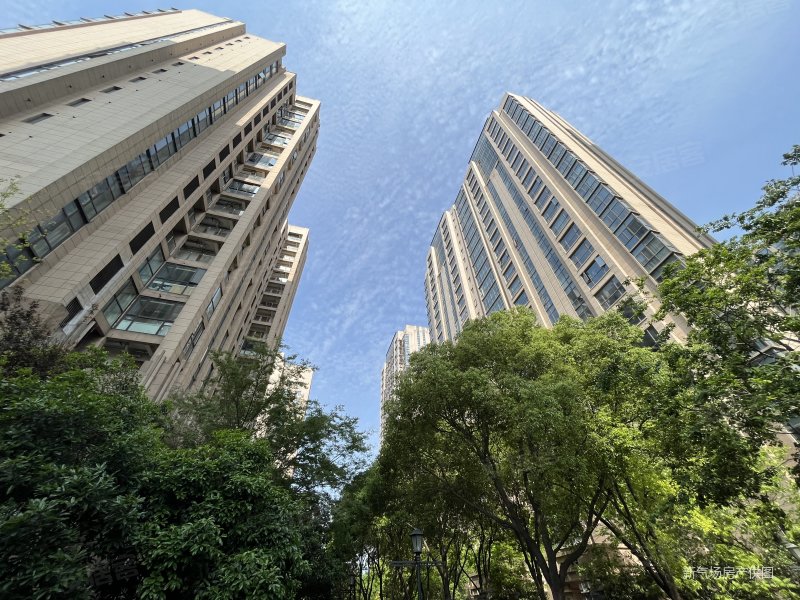 珠江悦公馆有电梯精装修高楼层采光充足楼龄新赵巷