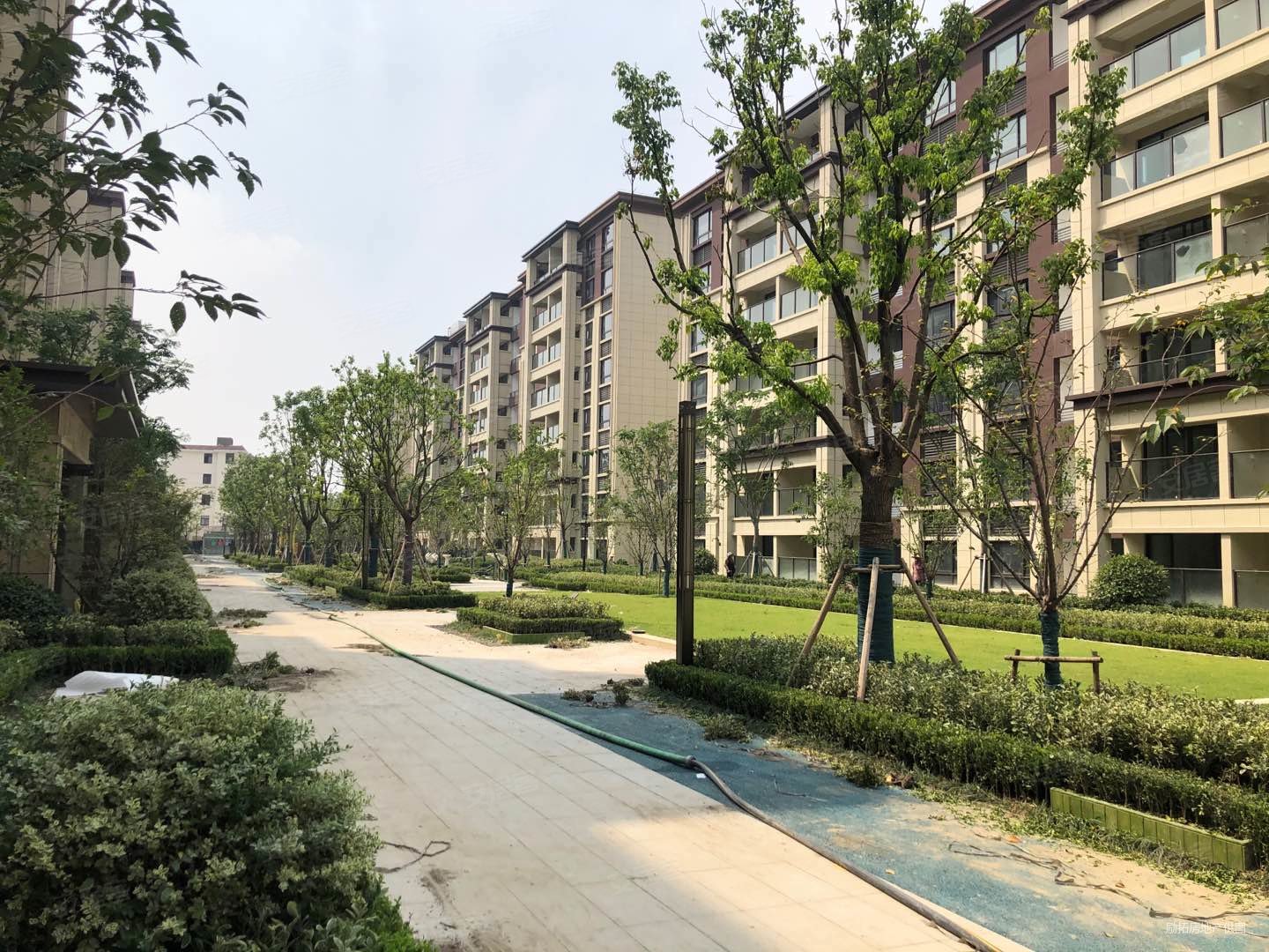 云溪四季汾湖实验一路之隔实景洋房近上海水乡客厅交汇