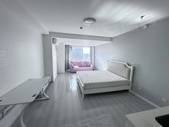 北京朝阳望京望京悠乐汇南向开间，家具家电齐全，房子非常干净看房随时出租房源真实图片