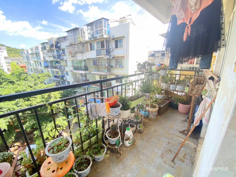 单价4700  套四双卫  南北通透 龙泉阳光城 可随时看房