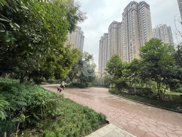 巴中巴州白云台半山逸城二期白云台 电梯精装套三双卫 家具家电齐全 拎包入住出租房源真实图片