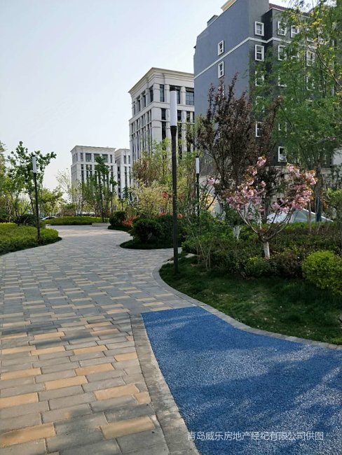 青岛房产网>青岛二手房>城阳二手房>流亭二手房>富力总部基地>488_650