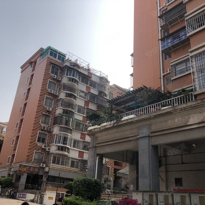 【金枫园, 金枫园小区详情,房价走势,房源,业主论坛】- 厦门58同城