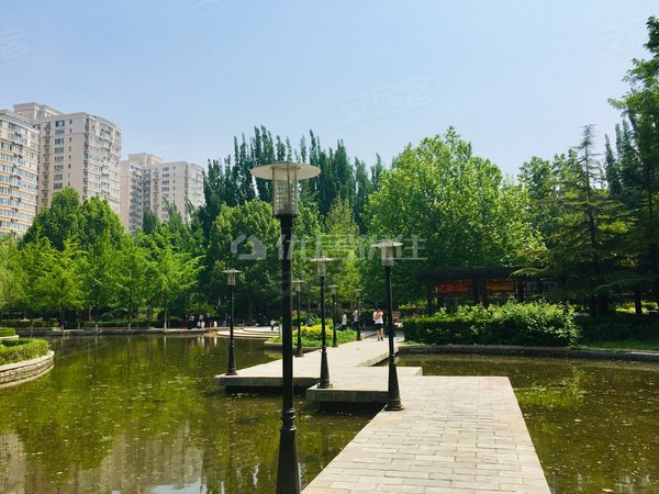 【多图】望京西园三区,望京租房,88平 整租 1室 望京西园三区 精装 押