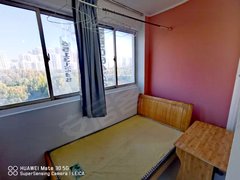 合肥政务天鹅湖真图价 天鹅湖 银泰城 绿怡居 小卧 带独立厨房390南二环出租房源真实图片