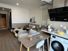 绍兴诸暨诸暨市区红泰小区 1室1厅1卫 南北通透 配套齐全 48平出租房源真实图片