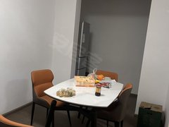 林芝巴宜民俗步行街格桑花苑二室二厅一卫精装修拎包入住出租房源真实图片