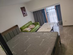 中山黄圃黄圃中心广场凯隆城豪华装修，复式公寓，出租，850一个月，拎包入住出租房源真实图片