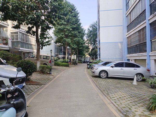 南宁良庆五象大道滨江丽景花园滨江丽景花园 120平 押二付三 整租 3室