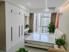 银泰隔壁独门独户60方开发商精装单身公寓，配套齐全，拎包入住