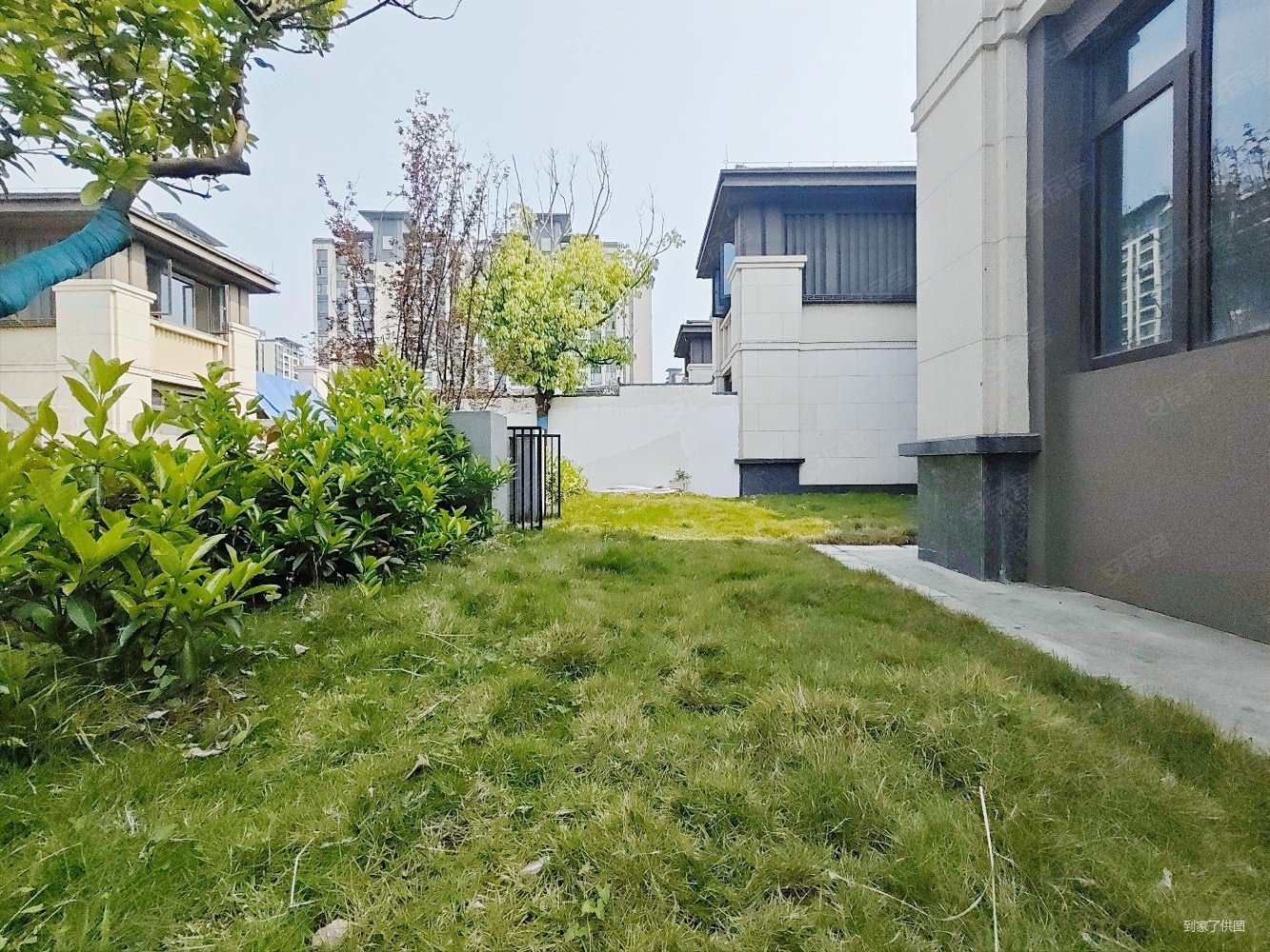 小区环境优美 大洋房带地下室 绿化面积大 随时可以看房,荣盛滨江华府