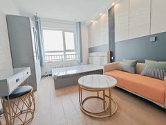 天津河西小海地可月付 财经大学 双林地铁口 龙瀚东园 拎包入住出租房源真实图片