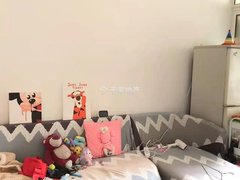 唐山路南路南新华楼急租,精装一室装修嘎嘎温馨出租房源真实图片