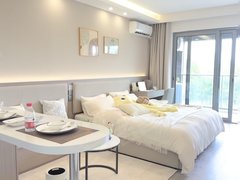 临沂兰山通达路可月付人民广场奥斯卡万阅城万象汇梦田斑马泰盛广场精装一室一厅出租房源真实图片