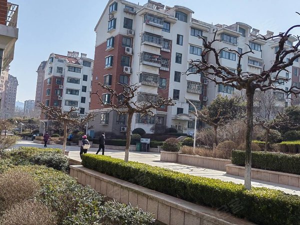 青岛市北浮山后埠西花园实拍埠西花园套二厅5楼精装家具家电2500元