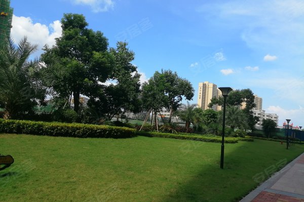 惠州小区 博罗小区 园洲小区 信鸿广场