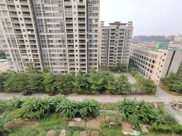 花样年君山优点,不足,东莞花样年君山怎么样,花样年君山周边房产中介