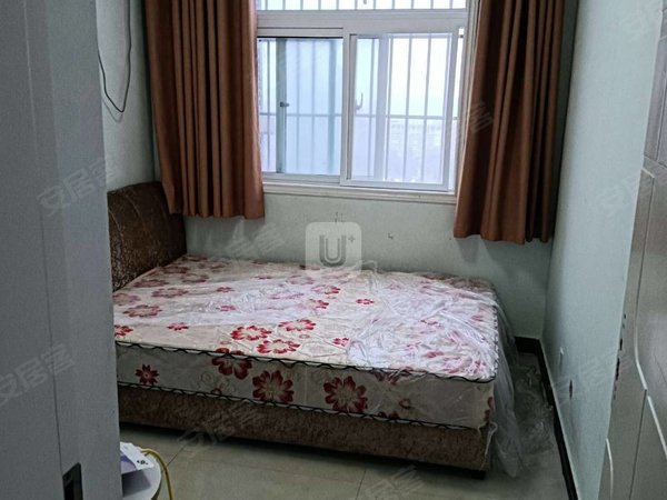 商丘睢阳万达广场一品江山一品江山二期 电梯小高层 三室 采光全天不挡 急租!随时看房出租房源真实图片