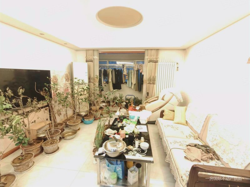 鲁岳梦境江南板楼中间楼层采光好商业配套成熟