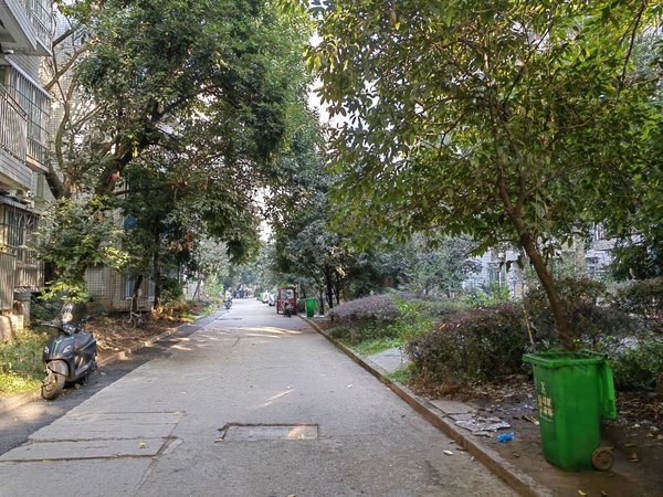 【多图】东海长洲b区,弹子石租房,精装一室一厅,通气!