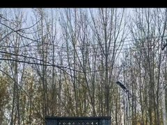 固安四小新中东街金海城 4室2厅1卫出租房源真实图片