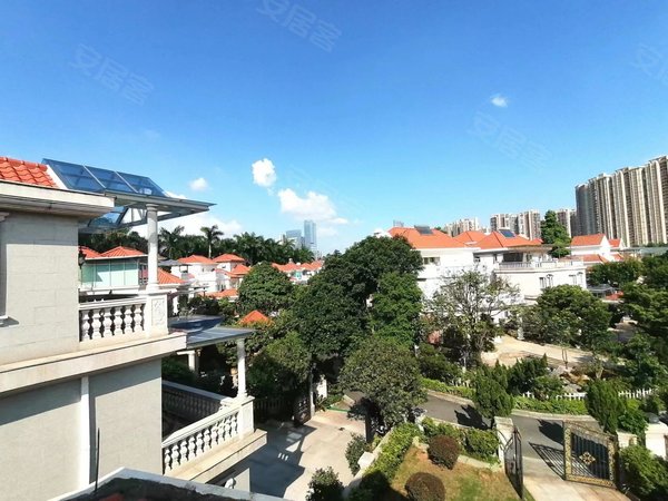 广州增城新塘碧桂园凤凰城凤鸣苑送380平大花园  有鱼池果树 离学校近