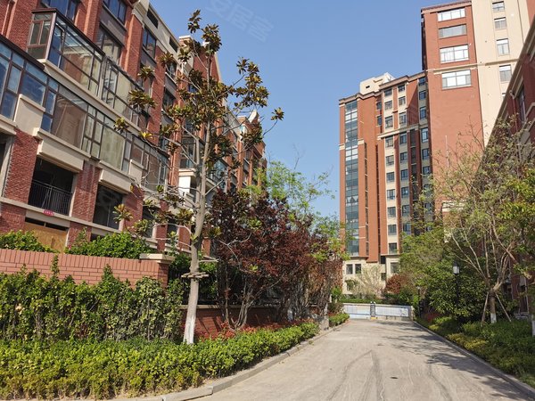 青岛城阳白云山公园青特小镇e区青特小镇!400!可短租!可月付!电梯房!