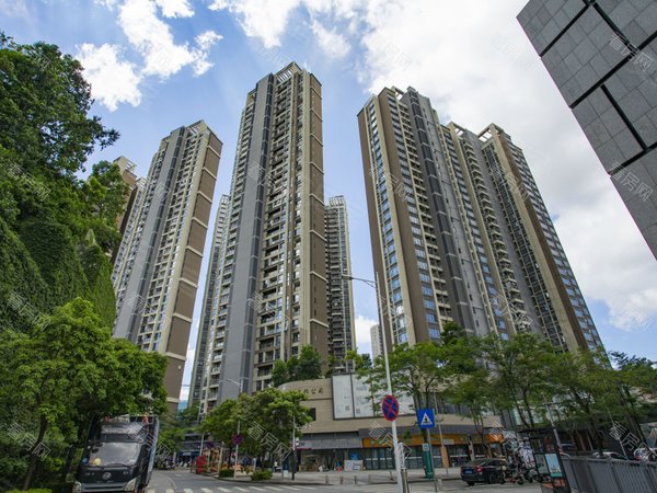 深圳龙华观澜佳华领域广场(一期商住楼)笋盘!保真!