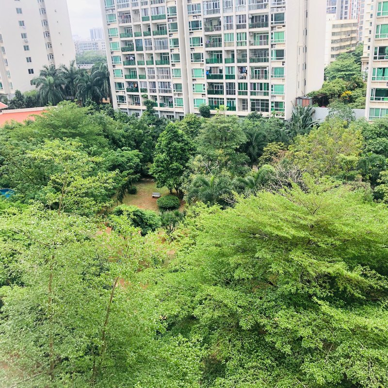 【美丽沙花园, 美丽沙花园小区详情,房价走势,房源,业主论坛】- 海口