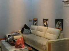 岑溪岑溪城区城区南环商业大厦  单间套房出租，拎包入住出租房源真实图片