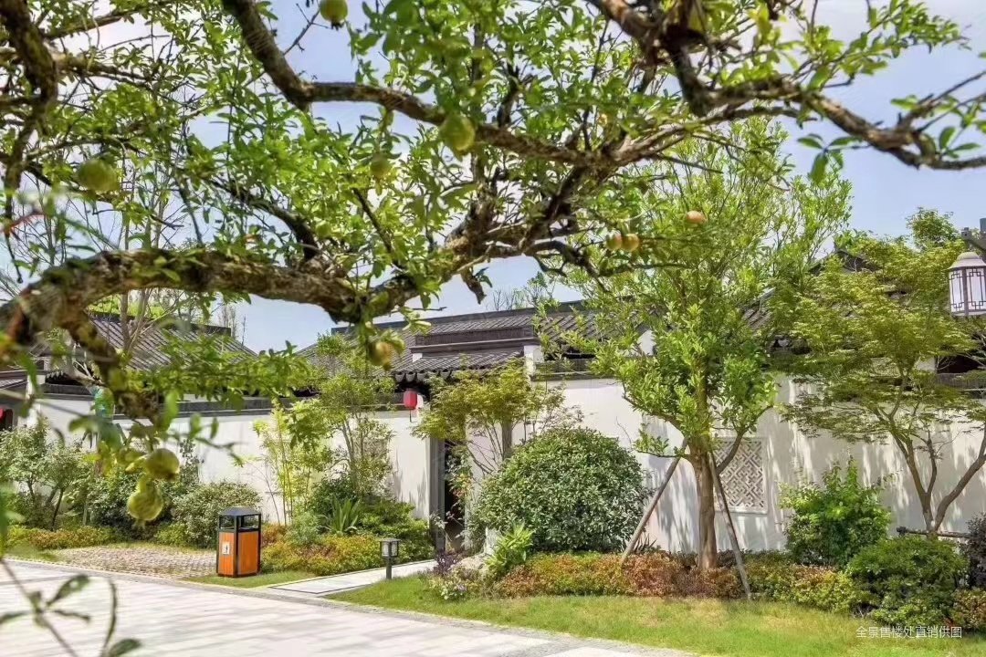 特价320万纯一层合院别墅送百平院子江南印象中式风格