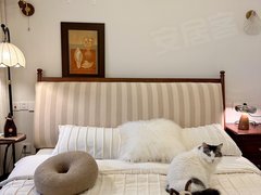 临沂兰山工业大道近工业大道 直播电商基地  中医院 寻找室友可押一付一出租房源真实图片