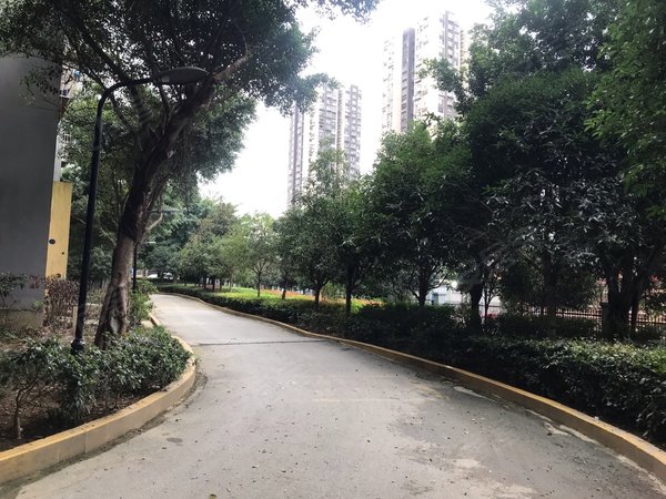 重庆渝北空港新城新都花园轻轨9号线出口电梯新都花园一室出租出租