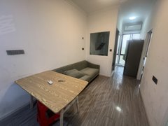 武汉蔡甸恒大绿洲中国健康谷健康新天地 2室1厅1卫  电梯房 45平米出租房源真实图片