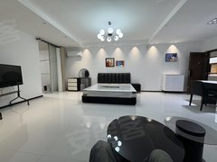 合肥新站火车站可月付可短租火车站地铁口光大国际一室一厅南北通透全屋定制精装出租房源真实图片