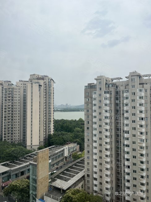 滨湖花园   老证过户