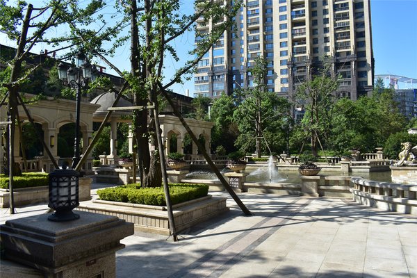 不足,万达公馆怎么样,万达公馆周边房产中介经纪人评价-武汉安居客