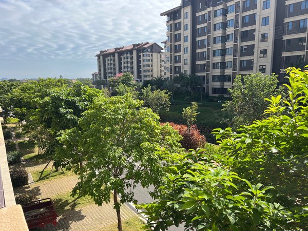 三亚海棠海棠湾镇和泓海棠府海棠湾温泉花园洋房领包入住出租房源真实