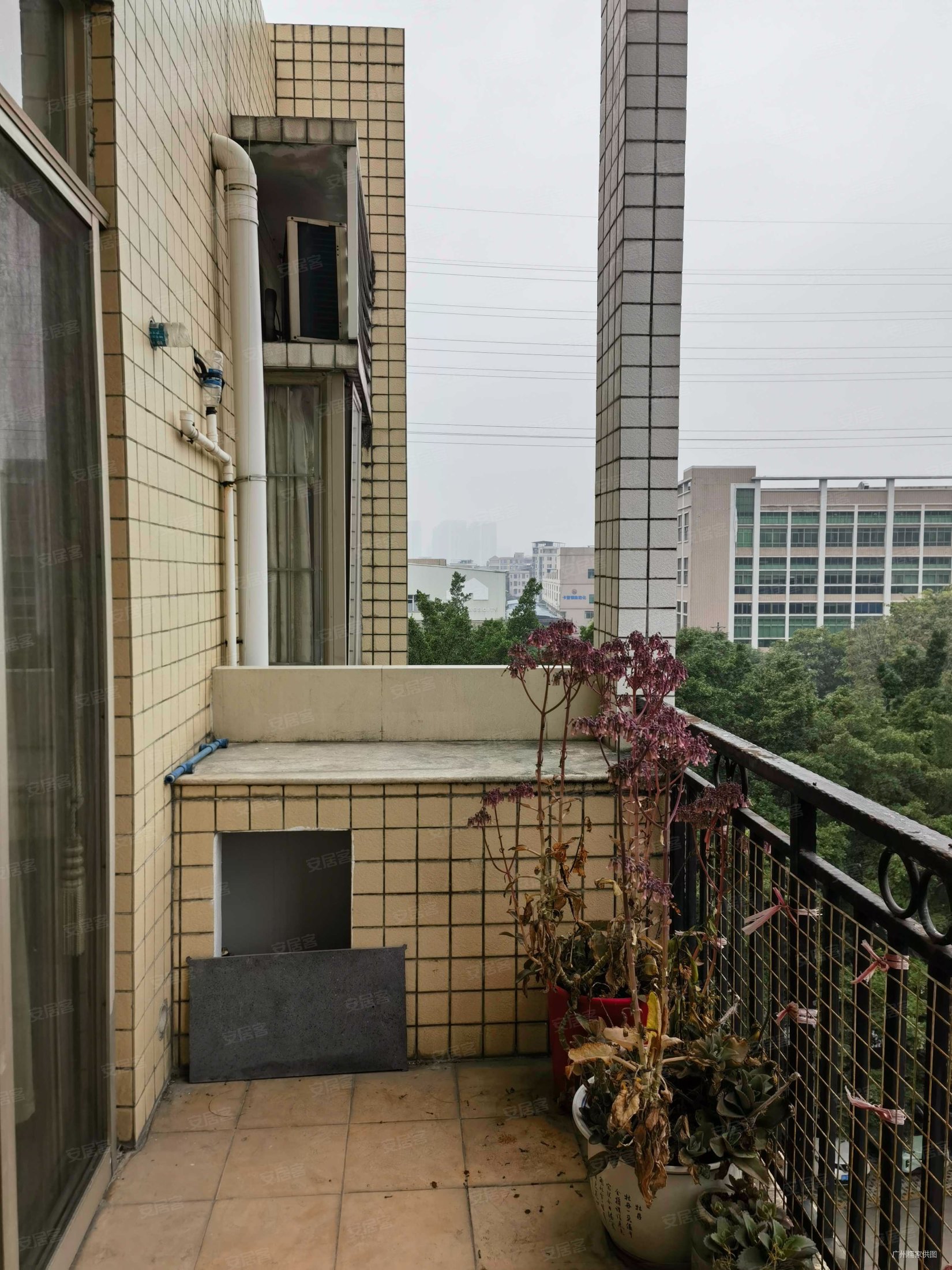 广州房产网>广州二手房>增城二手房>新塘二手房>新塘新世界花园>1650