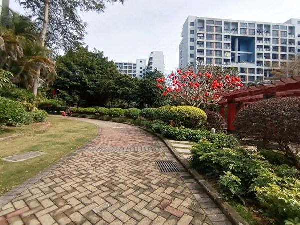 深圳龙岗宝龙蓝钻风景蓝钻房源,干净整洁通风好,有钥匙随时看房.