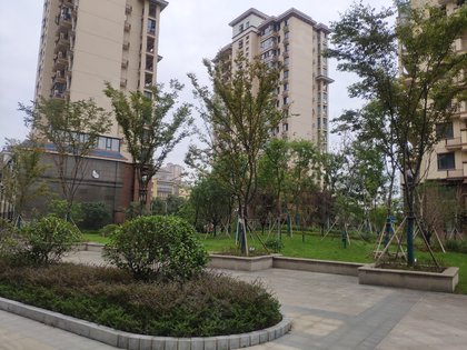 水岸华庭,解放北路,近淠河路 - 六安水岸华庭二手房,租房,房价-六安