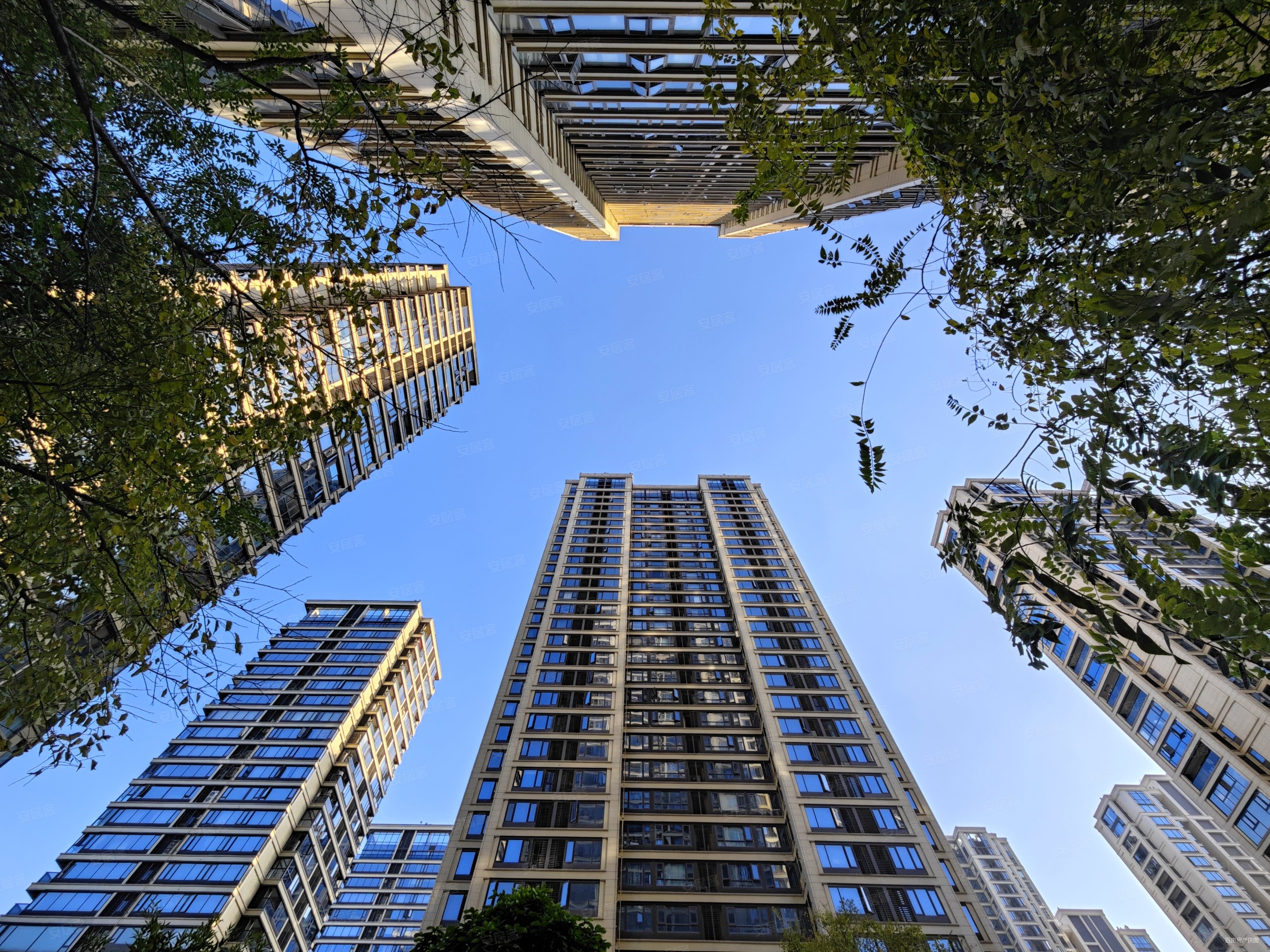 新出小区这户型就这套啵我有钥匙随时看房杨柳郡棕榈苑三房