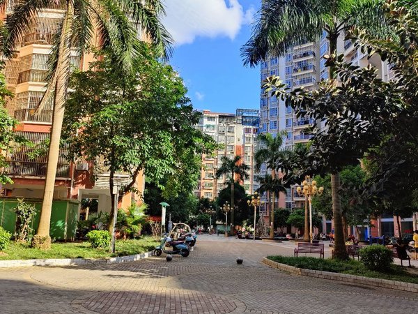 南宁西乡塘安吉棕榈湾秀安路棕榈湾小区,电梯二房,配套成熟,随时看房.